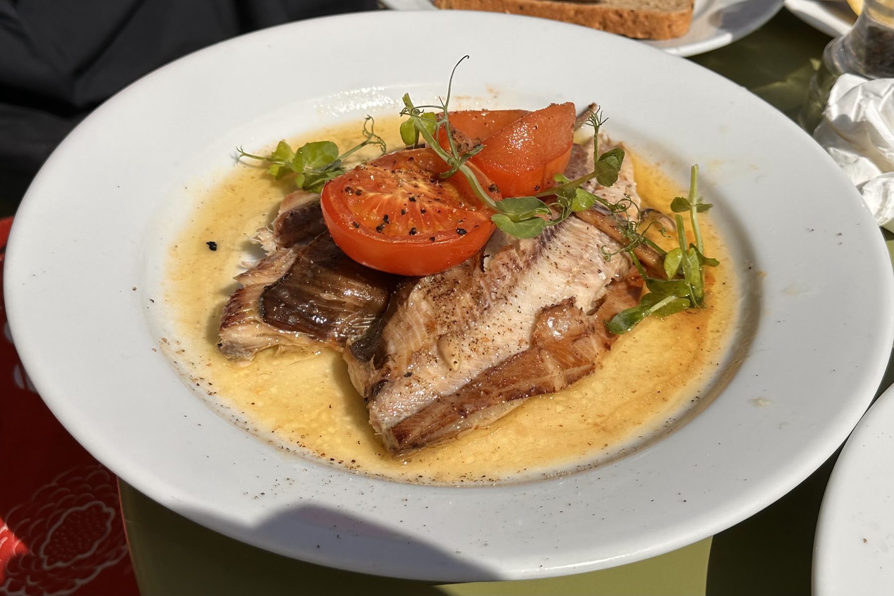 A fish fillet with tomatoes on a creamy sauce
